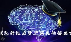 TP钱包升级后资产消失的解