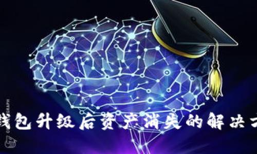 TP钱包升级后资产消失的解决方案