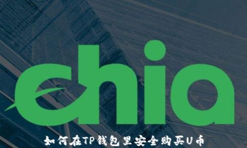 
如何在TP钱包里安全购买U币