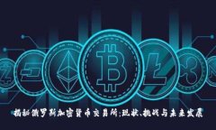 揭秘俄罗斯加密货币交易
