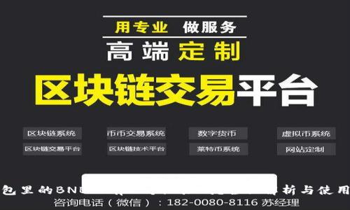 TP钱包里的BNB只有一个地址吗？全面解析与使用指南
