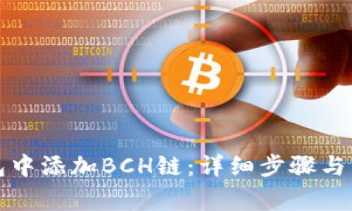 如何在TP钱包中添加BCH链：详细步骤与常见问题解答