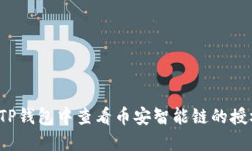 如何在TP钱包中查看币安智能链的授权情况？