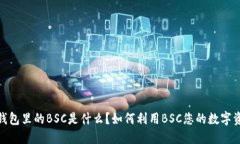 全解：TP钱包里的BSC是什么