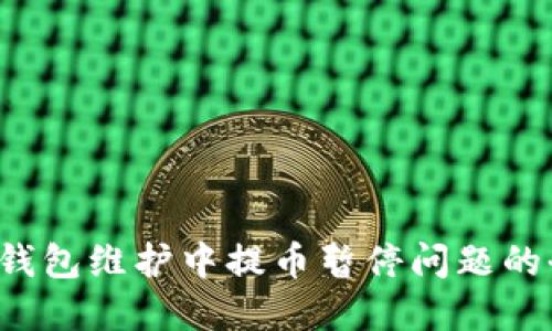  解决TP钱包维护中提币暂停问题的全面指南