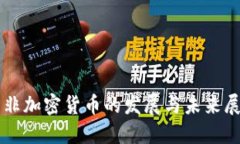 南非加密货币的发展与未