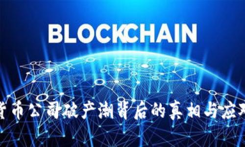 加密货币公司破产潮背后的真相与应对策略