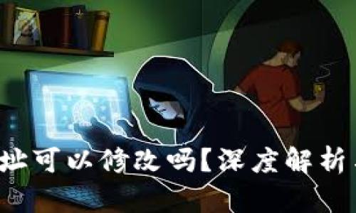  TP钱包地址可以修改吗？深度解析与实用指南