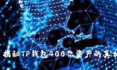  揭秘TP钱包400亿资产的真
