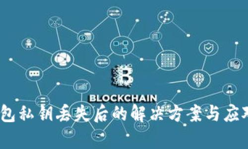 t p钱包私钥丢失后的解决方案与应对措施