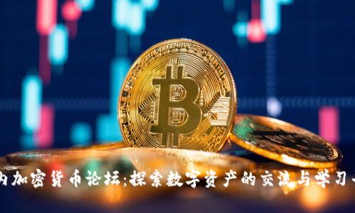 国内加密货币论坛：探索数字资产的交流与学习平台