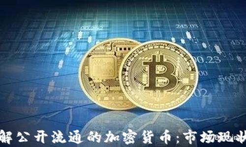 
深入了解公开流通的加密货币：市场现状与前景