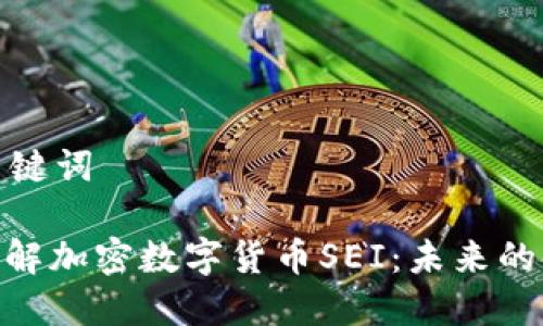 思考和关键词

: 深入了解加密数字货币SEI：未来的金融革命