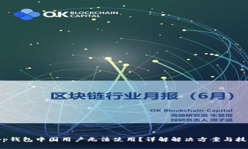 t p钱包中国用户无法使用？详解解决方案与技巧