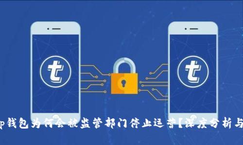 : t p钱包为何会被监管部门停止运营？深度分析与解读