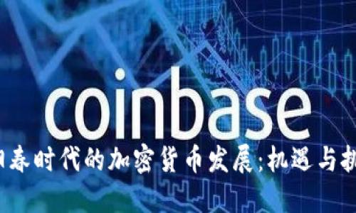  阳春时代的加密货币发展：机遇与挑战