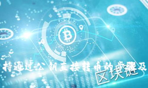 tP钱包支持通过公钥直接转币的步骤及注意事项