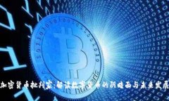 加密货币批判家：解读数
