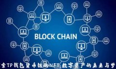 探索TP钱包货币链的NFT：数