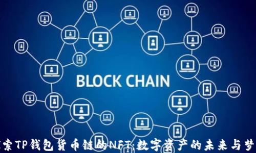 
探索TP钱包货币链的NFT：数字资产的未来与梦想