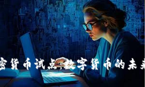 央行加密货币试点：数字货币的未来与挑战