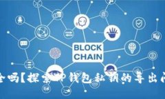 安全吗？探索TP钱包私钥的