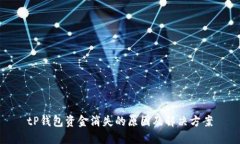tP钱包资金消失的原因及解