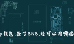 biao tit p钱包：除了BNB，还