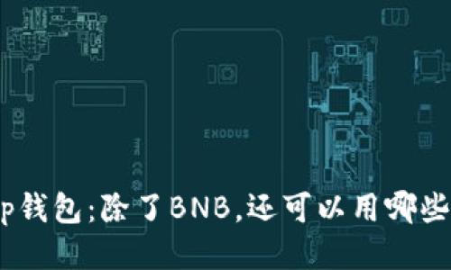 biao tit p钱包：除了BNB，还可以用哪些方式买币？