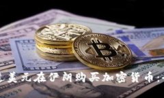 如何通过美元在伊朗购买