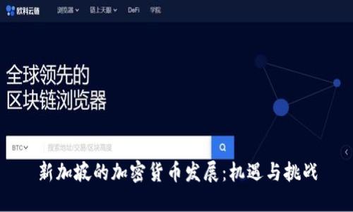 新加坡的加密货币发展：机遇与挑战