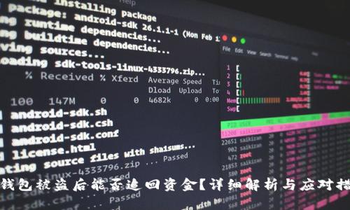 TP钱包被盗后能否追回资金？详细解析与应对措施