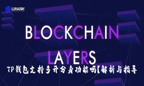 TP钱包支持多开分身功能吗？解析与指导