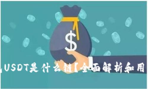 TP钱包USDT是什么链？全面解析和用户指南