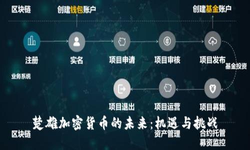 楚雄加密货币的未来：机遇与挑战