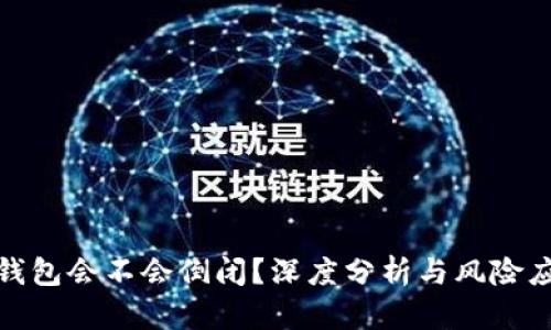 TP钱包会不会倒闭？深度分析与风险应对