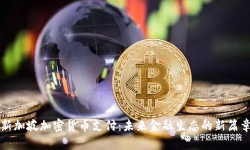 新加坡加密货币支付：未来金融生态的新篇章