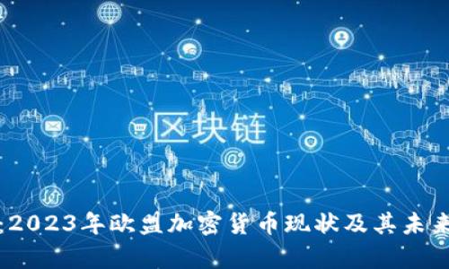 深入分析：2023年欧盟加密货币现状及其未来发展趋势
