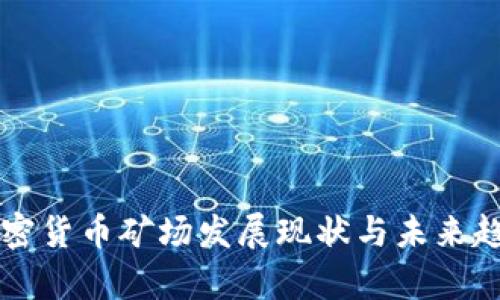 成都加密货币矿场发展现状与未来趋势分析