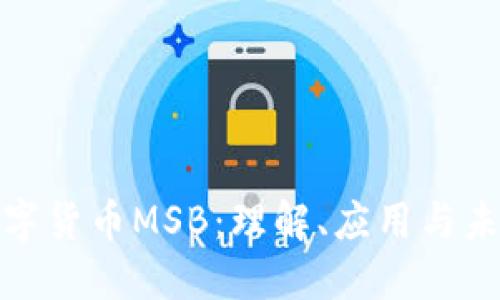 加密数字货币MSB：理解、应用与未来趋势