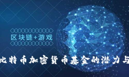 探索比特币加密货币基金的潜力与风险