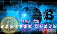 加密货币发展的完整流程