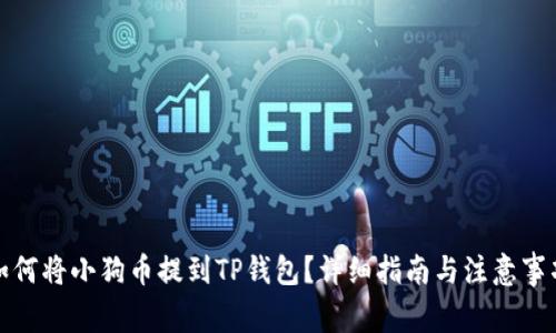 如何将小狗币提到TP钱包？详细指南与注意事项