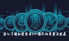 深入了解加密货币CVT团队
