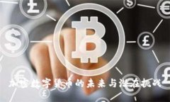 加密数字货币的未来与潜