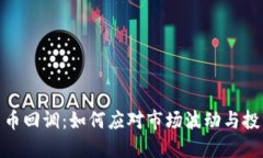 加密货币回调：如何应对