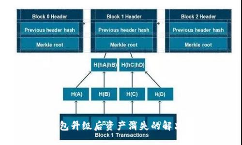 TP钱包升级后资产消失的解决方案
