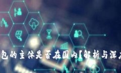 t p钱包的主体是否在国内