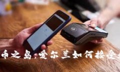 伟大的加密货币之岛：爱