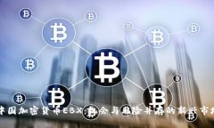 中国加密货币EBX：机会与